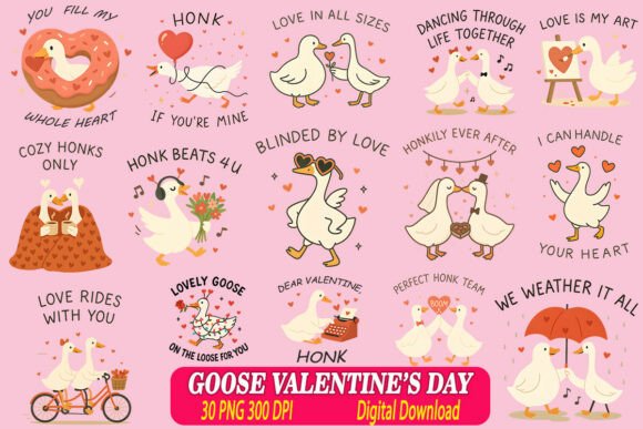 Funny Goose Valentine Sublimation Graphics